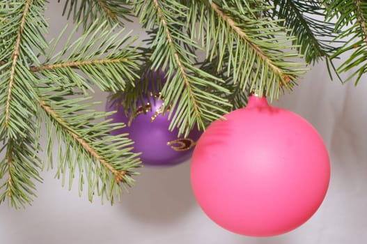 Pink and violet christmas ball