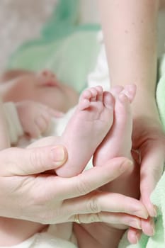 Newborn baby feet in mother&#039 s hands with soft yellow blanket