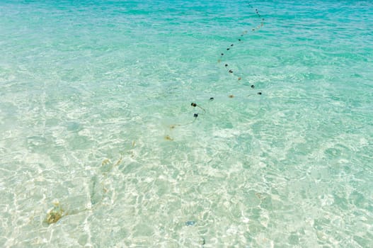 traditional fishing net in a clear blue tropical sea