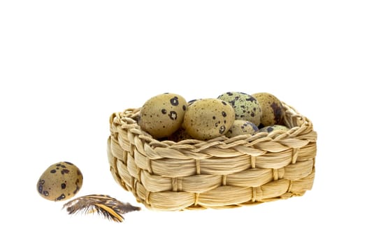 Quail Eggs