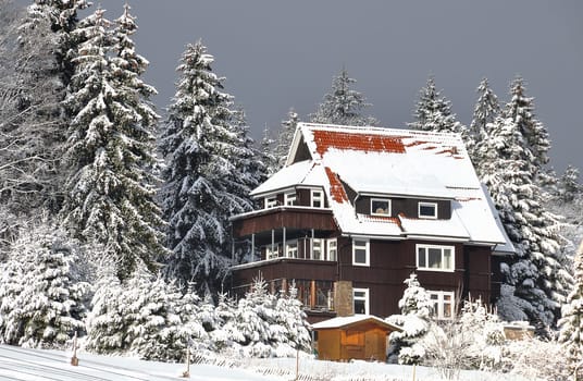 brown,wooden house