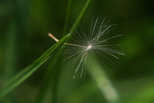 The gentle hold