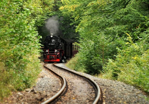 The Harz Narrow Gauge Railway arrives...