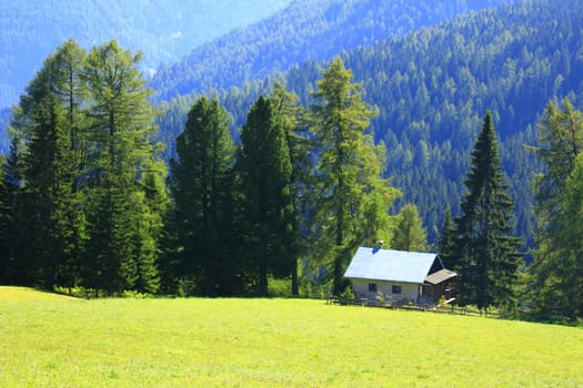 Alpine hut