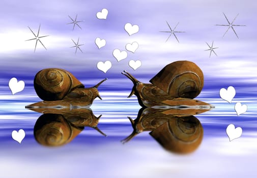 two snails