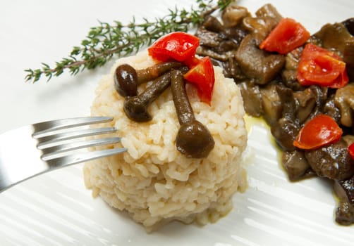 risotto with tomaotes and mushrooms