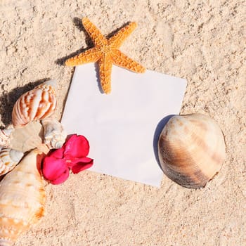 blank paper on white sand beach with starfish and shells like summer vacation background