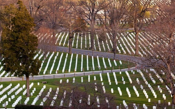 Gravestones in Arlington National Cemetery. Some wreathes are visible on some headstones at xmas.