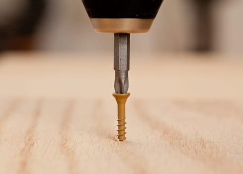 Brown screw being driven into wood by phillips bit in power drill
