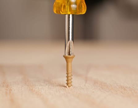 Brown screw being driven into wood by phillips bit in power drill