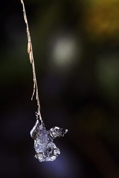 An ice figure on a blade of grass
