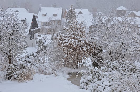 snowy
