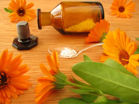 Homeopathic globules and calendula flowers