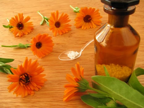 Homeopathic globules and calendula flowers