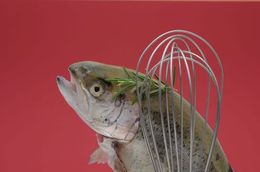 fresh trout