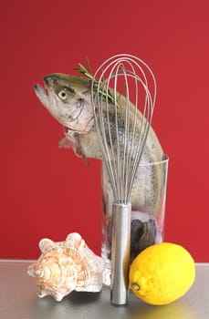 Trout