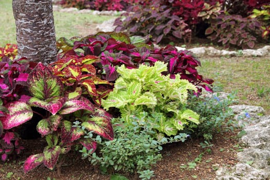 Landscaped flower garden