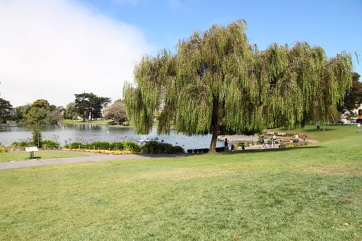 Summer park