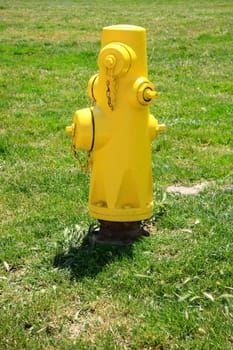 Yellow fire hydrant on green lawn