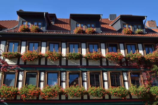 Flower window