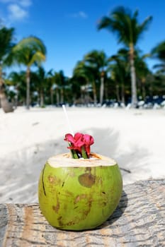 Coconut with drinking straw on a palm tree on beach