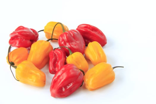 Habanero Chilies