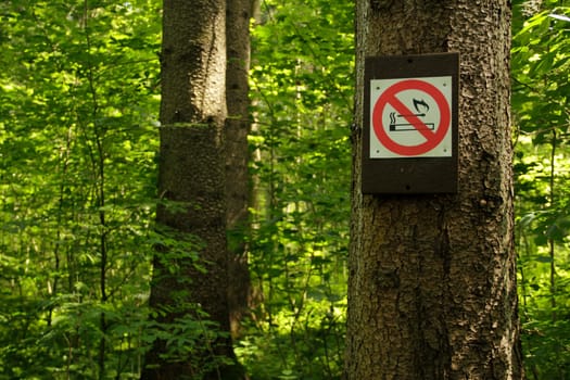 smoking ban