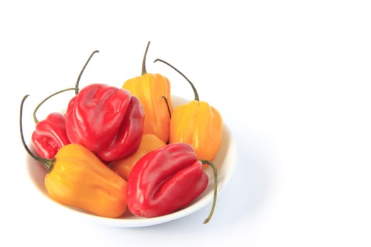 Habanero Chilies