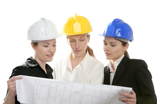 Architects woman working, isolated on white at studio
