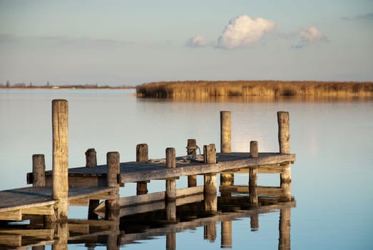 Wooden walkway on the shore of a lake