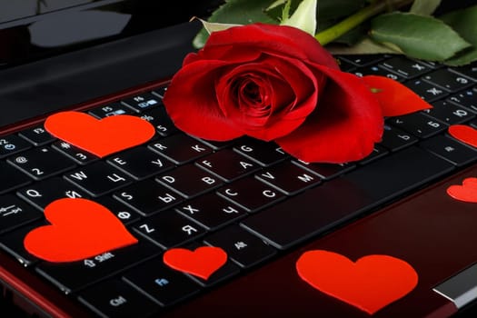 Modern notebook and rose on a black background