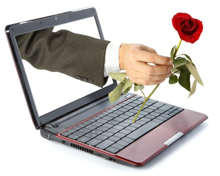 Hand with rose come out from a screen of a laptop computer on a white background