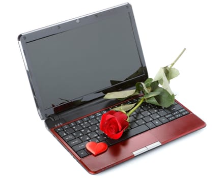 Modern notebook and flower on a white background