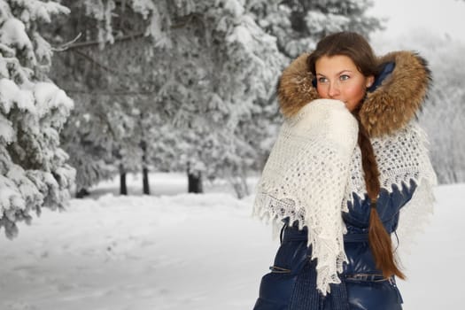 Portrait of the beautiful girl with a downy shawl in winter park.