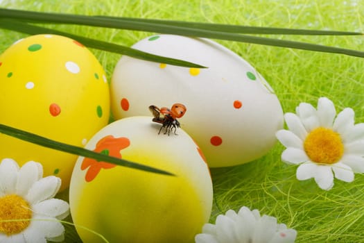 Decoration with easter egg, green grass and ladybug. Close up.