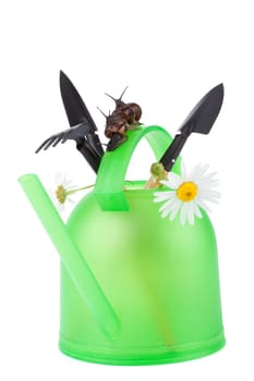 Watering can garden snail and tools on a white background