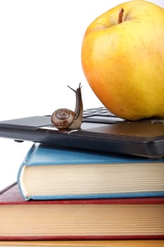 The garden snail, notebook, books and apple on a white background. Back to school.