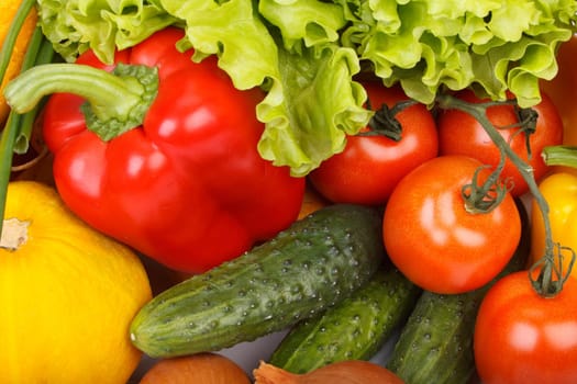 Abstract background from fresh vegetables on a white background.