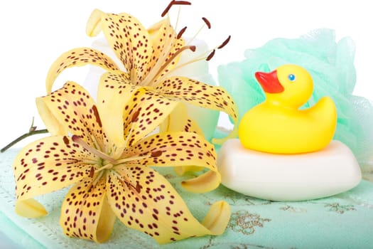 Towels, duck, lily and cream on a white background.