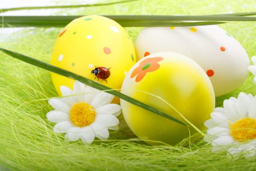 Decoration with easter egg, green grass and ladybug. Close up.