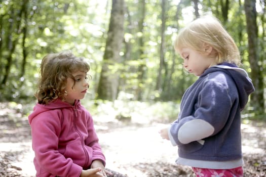 Little two sister girls in the beech forest vacation outdoor