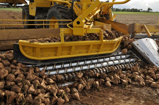 Cleaning loader