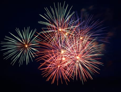 Festive firework. Celebrate of independent day.