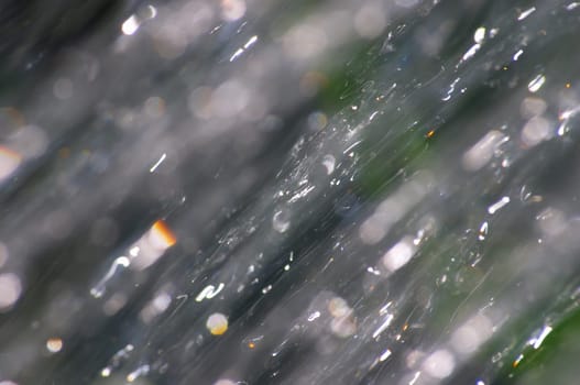 Water stream captured in the shower - outdoor, watering of garden