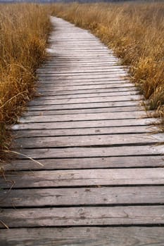 Plank path through the Hiller Moor