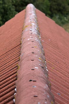 Roof ridge