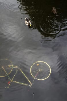 Discarded bicycle in a pond