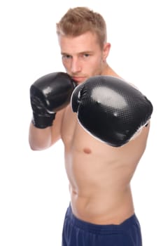 Studio shot of a boxer against a white background