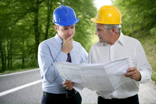 engineer two expertise team plan talking hardhat forest road