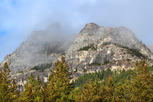 Low clouds hang over the forest adorning Mount Crandell in Waterton Lakes National Park of Canada.
